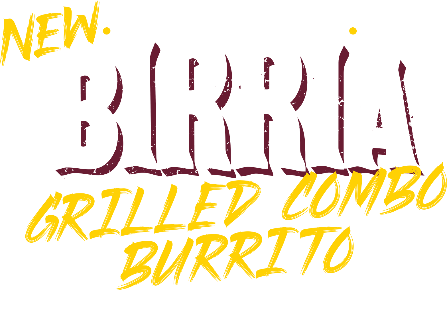 Shredded Beef Birria is Back!